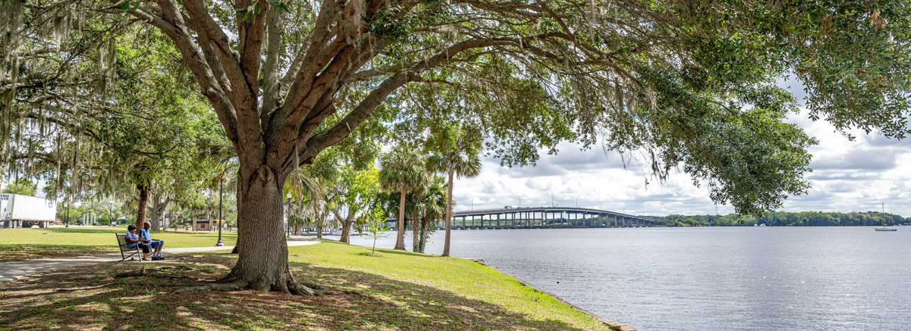 Palatka Bridge from Riverside Park